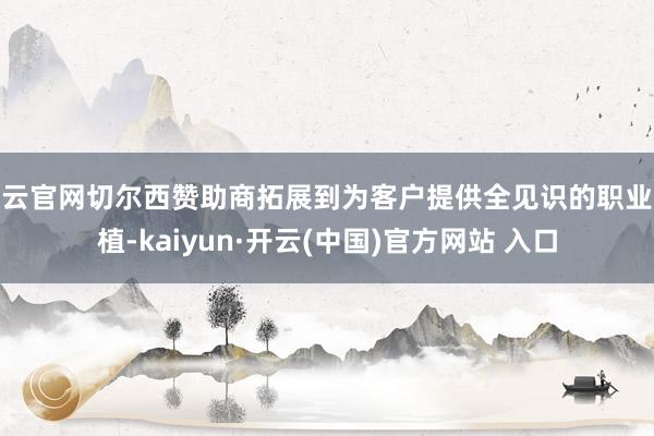 开云官网切尔西赞助商拓展到为客户提供全见识的职业扶植-kaiyun·开云(中国)官方网站 入口