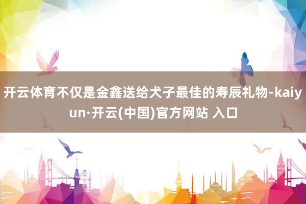 开云体育不仅是金鑫送给犬子最佳的寿辰礼物-kaiyun·开云(中国)官方网站 入口